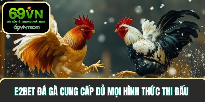 E2BET đá gà cung cấp đủ mọi hình thức thi đấu